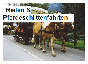 Reiten & Pferdeschlittenfahrten